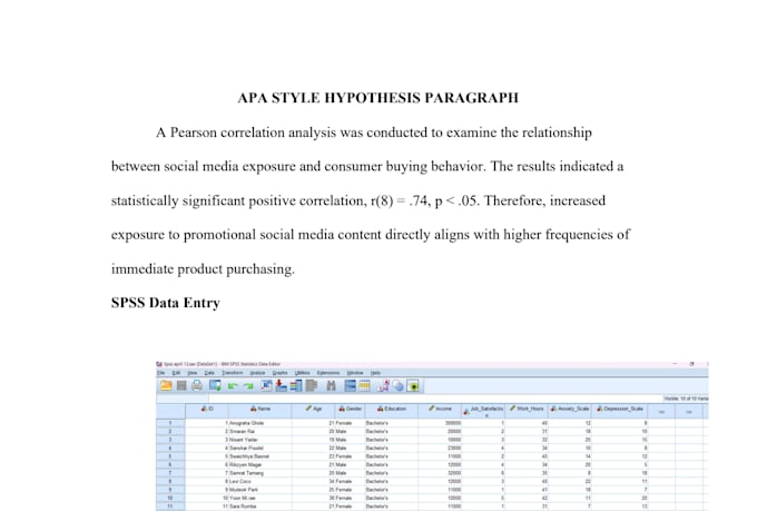 do spss data analysis excel data entry and research report writing